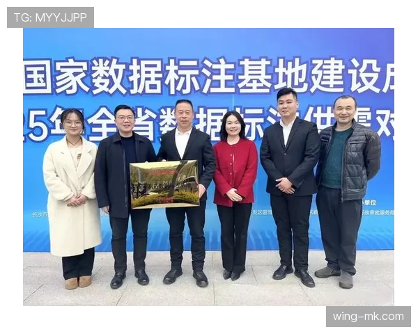 比利时技术流再出新招：数据驱动新闻报道引领行业革新