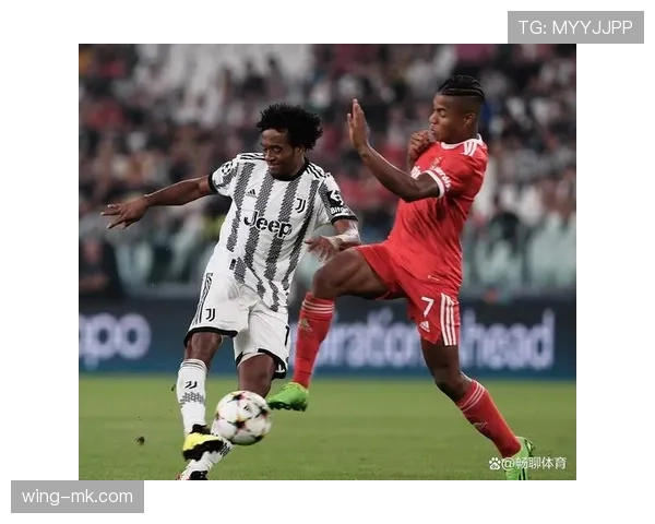 本菲卡攻防两端持续优化,联赛战绩稳步攀升