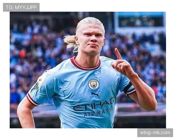 德甲传奇哈兰德职业生涯回顾：从青训梦想启航到足坛巅峰的辉煌征程