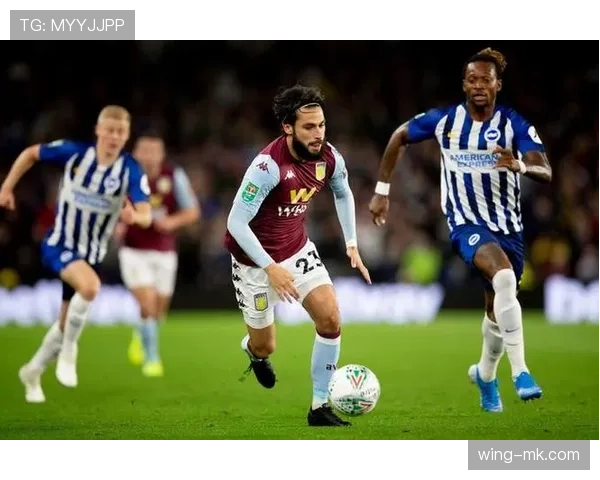 维拉防线稳定性